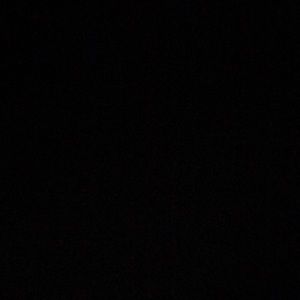 Meet your Posher, Raul